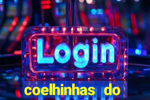 coelhinhas do brasil acompanhantes